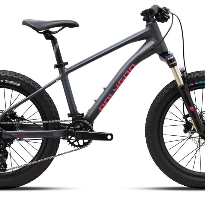 Polygon Xtrada 20 - Kids Mountain Bike