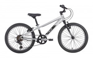 Neo+ 20 6sp Boy's Bike- Brushed Alloy
