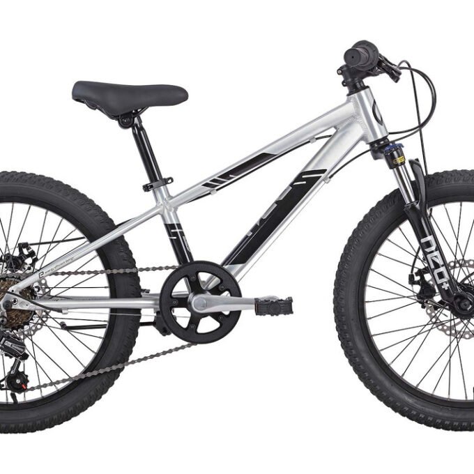 Neo Disc+ 20  Gen3 6sp Boys Bike- Brushed Alloy
