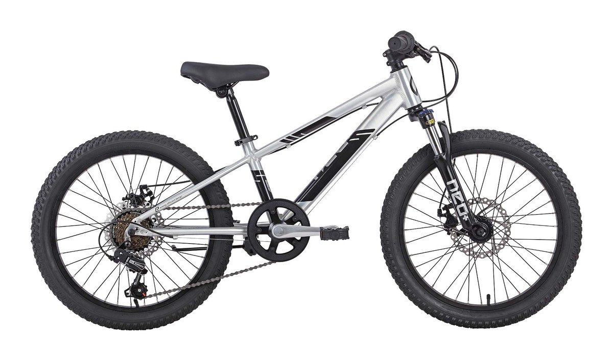 Neo Disc+ 20 Gen3 6sp Boys Bike- Brushed Alloy