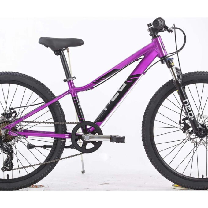Neo Disc+ 24 - Chrome Purple