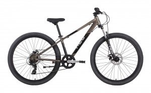 Neo Disc+ 26" Boys Bike - Chrome Sand