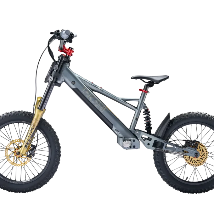 Takani 20" Electric Balance Bike TK2060-RS