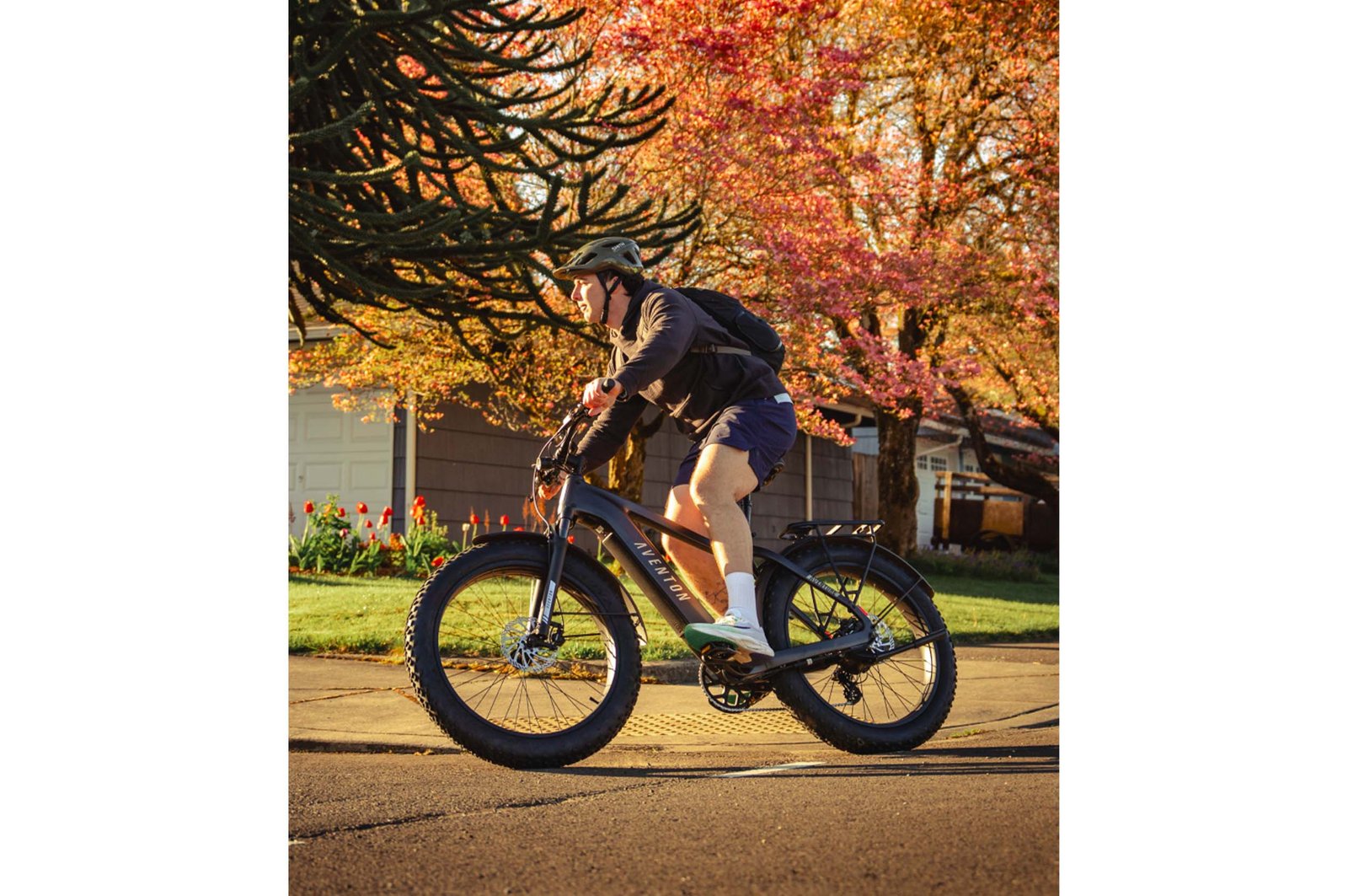 Aventon Aventure 3 Off-Road Step Over Electric Bike - Image 18
