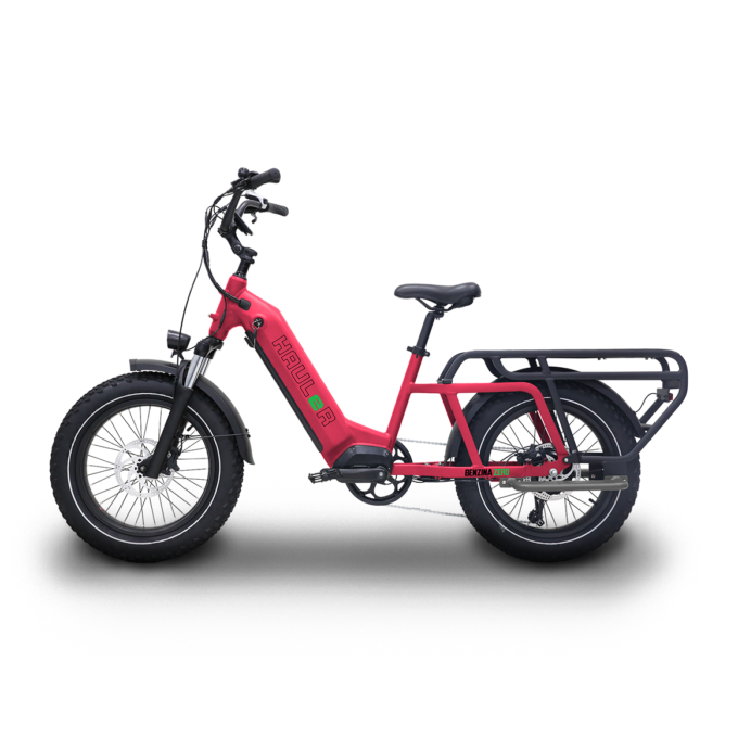 Benzina Zero - Hauler CARGO eBike