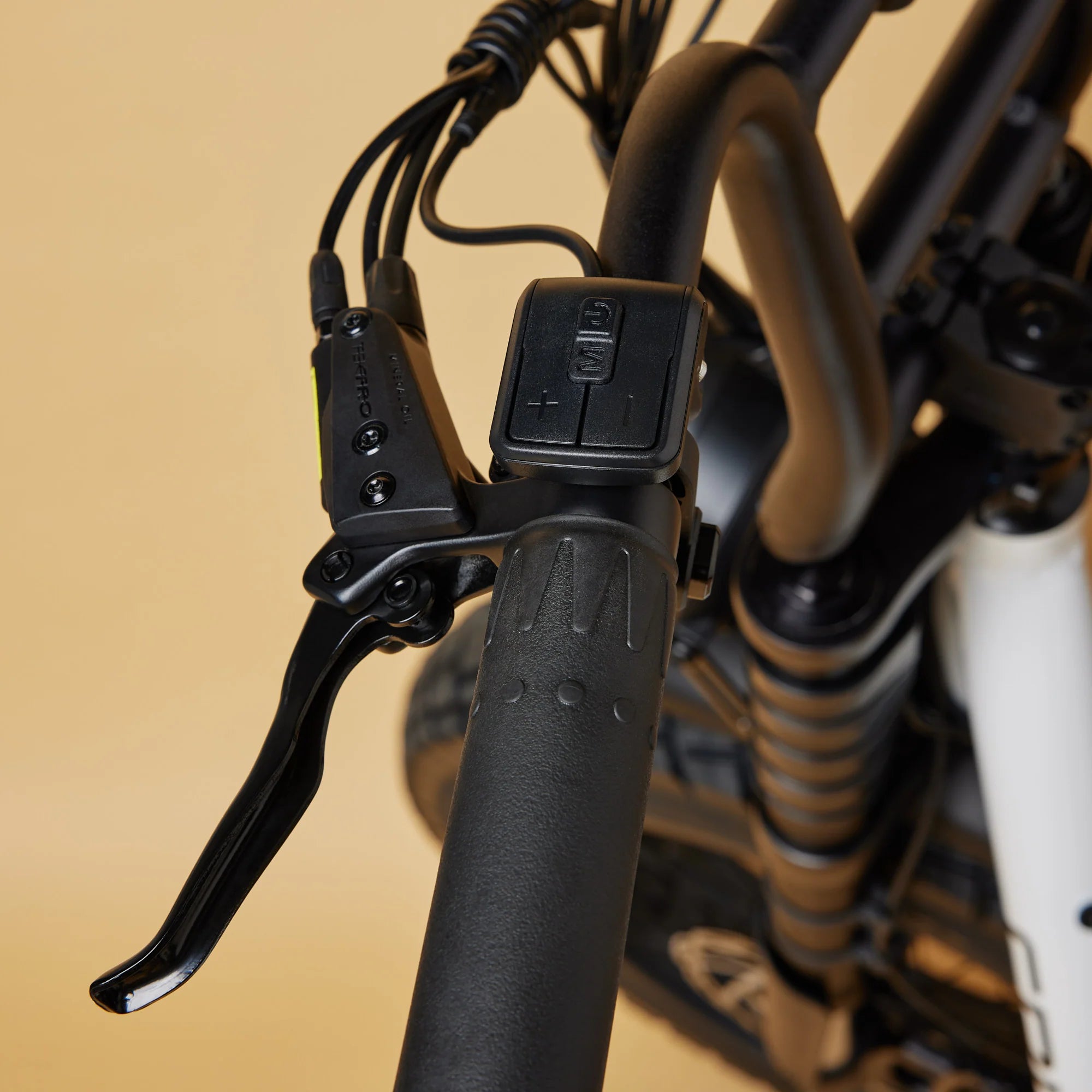 Cruzr SWELL 2026 Electric Bike - Image 35