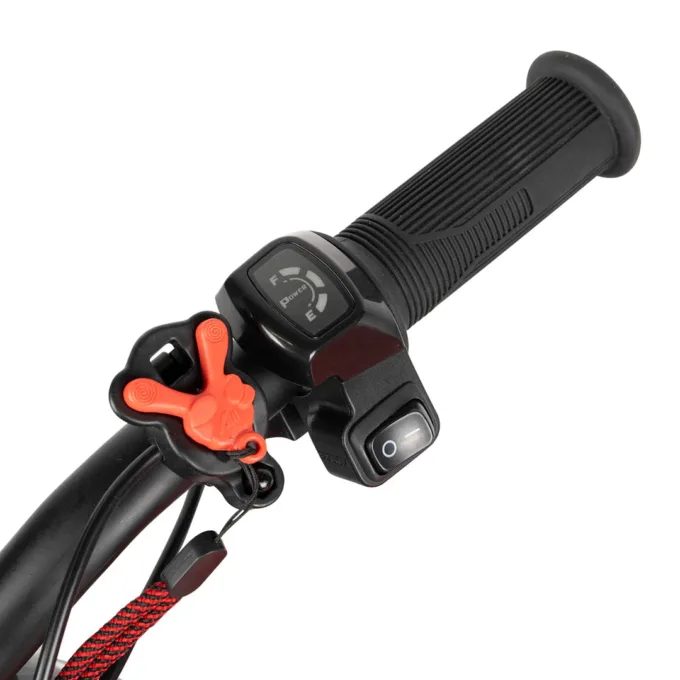 RFN Warrior Kids SX-E250 Electric Balance Bike
