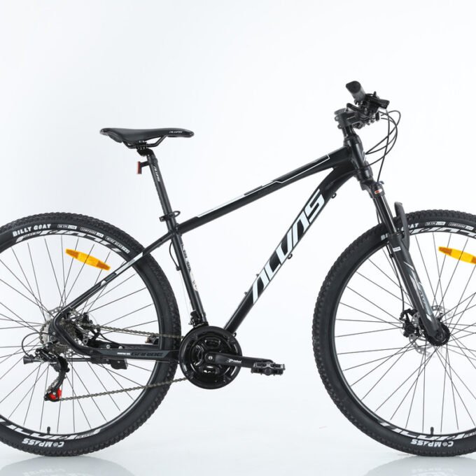 Alvas GARIBE 29 MTB