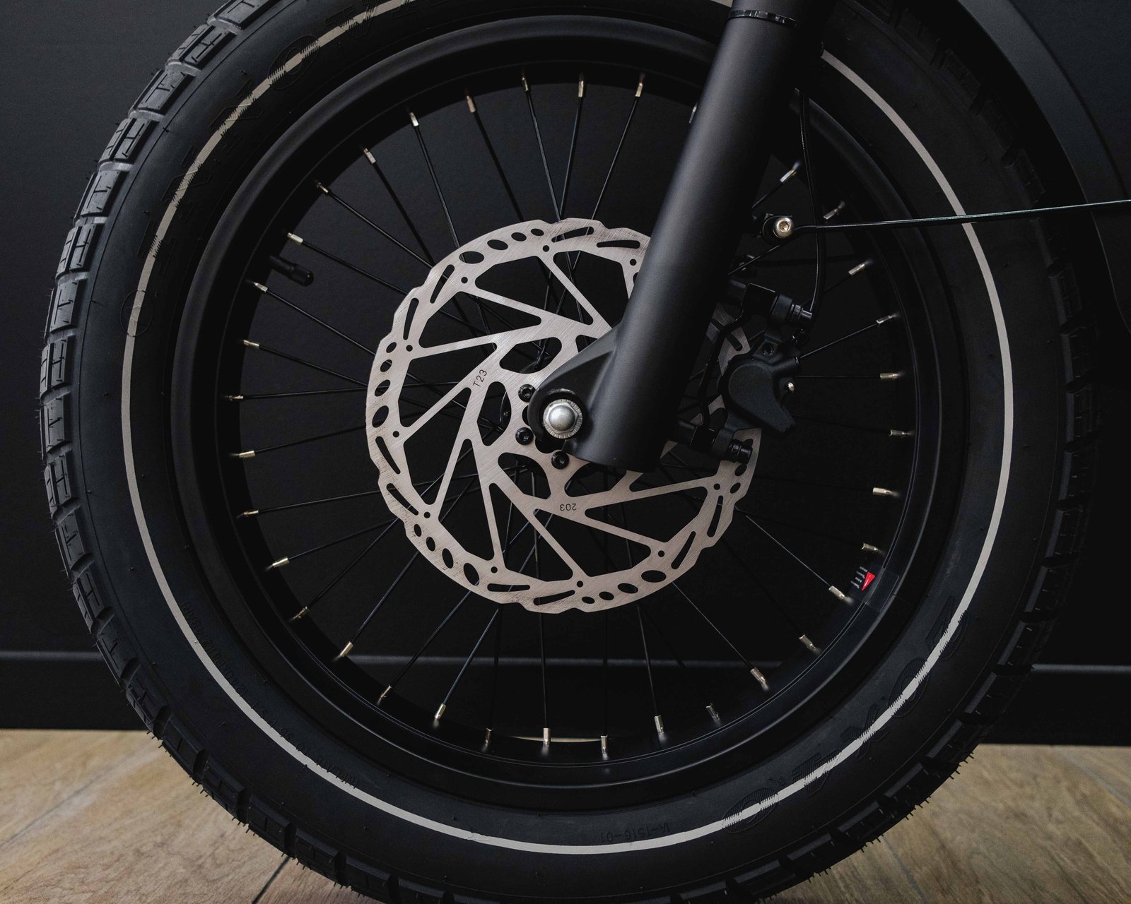 Benzina Zero - Hauler CARGO eBike - Image 4