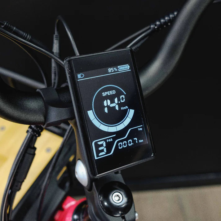 Benzina Zero Hauler Cargo E-Bike - Image 6
