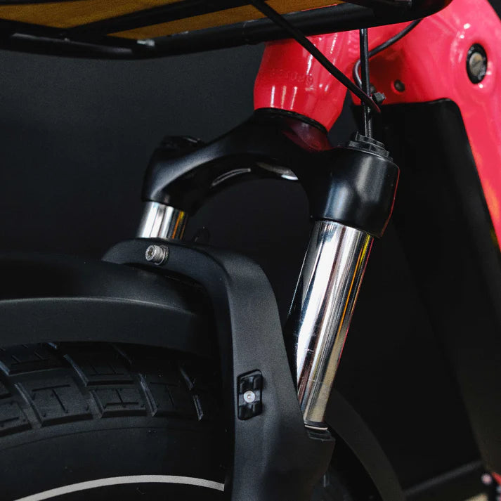 Benzina Zero Hauler Cargo E-Bike - Image 9