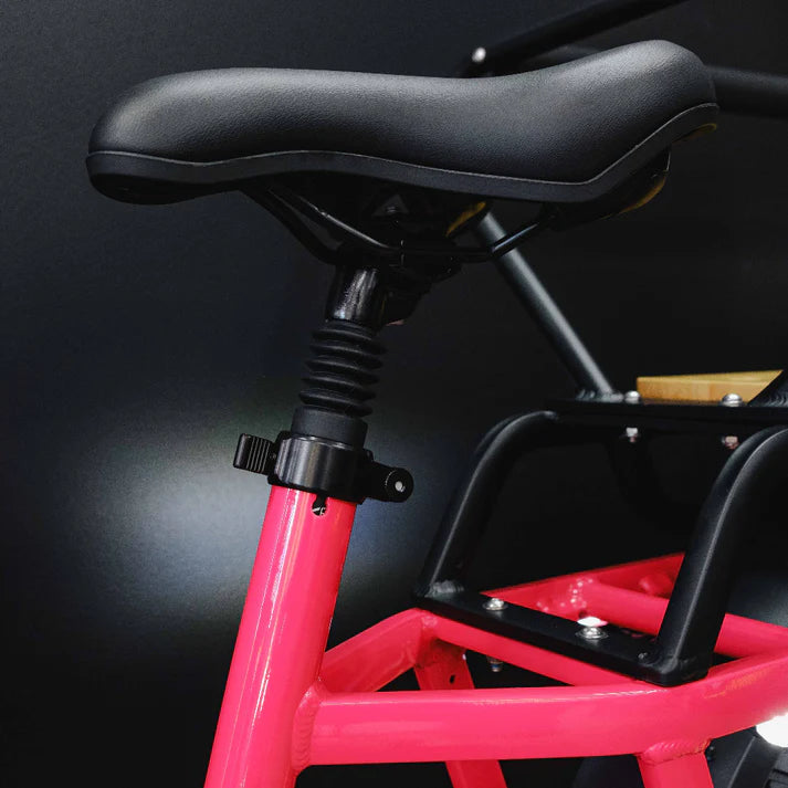 Benzina Zero Hauler Cargo E-Bike - Image 8