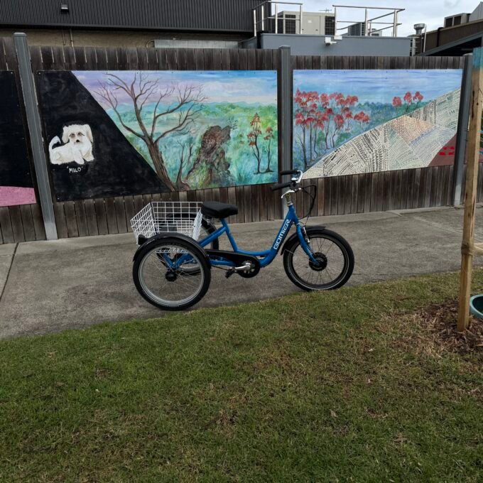 Gomier Kids Custom Electric trike