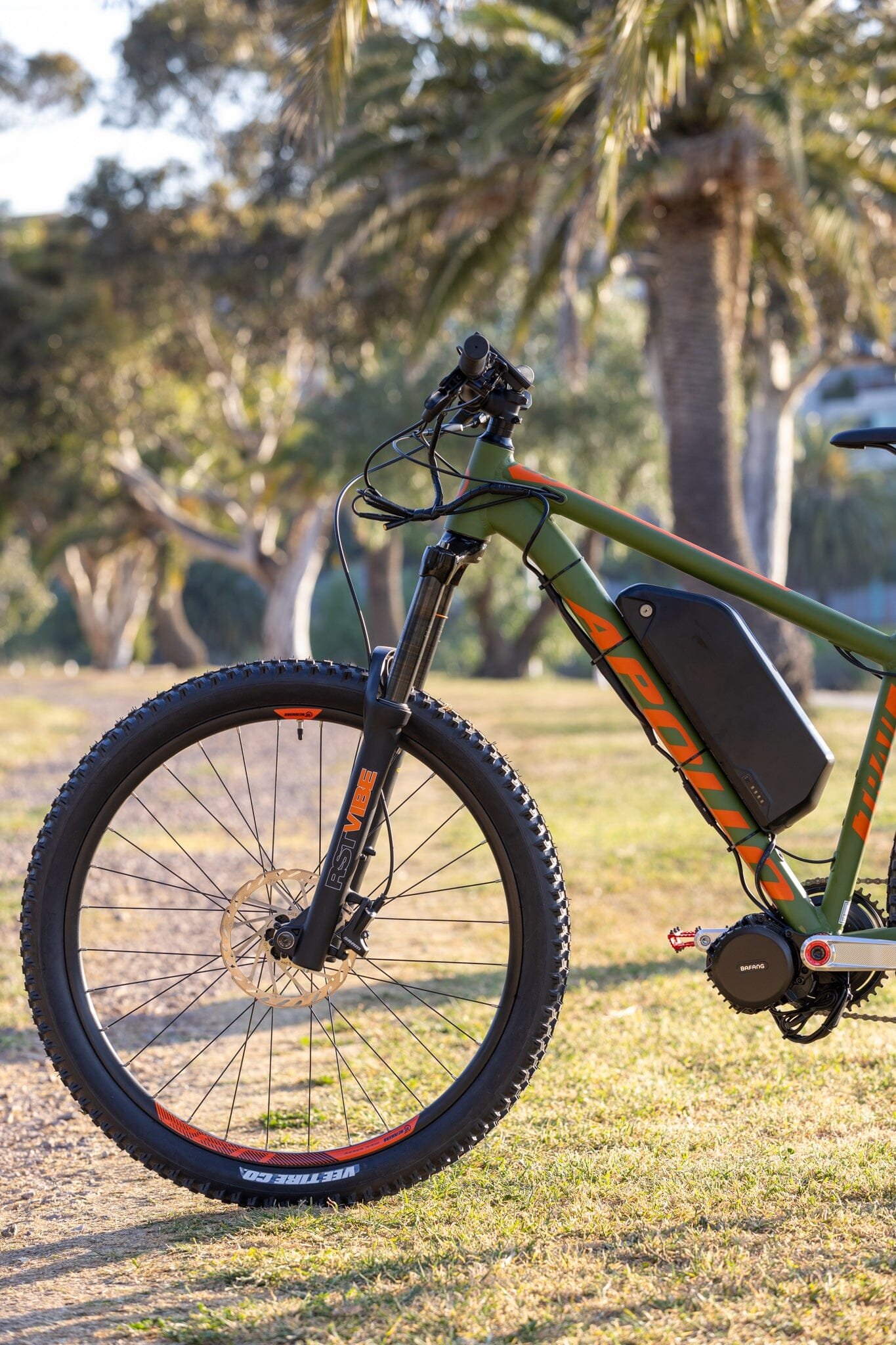 Apollo Trail 30 Custom Build with Bafang BBSHD 1000w - Image 6