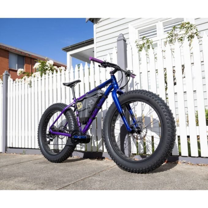 Apollo 750W Custom Built Fat Tyre E-Bike