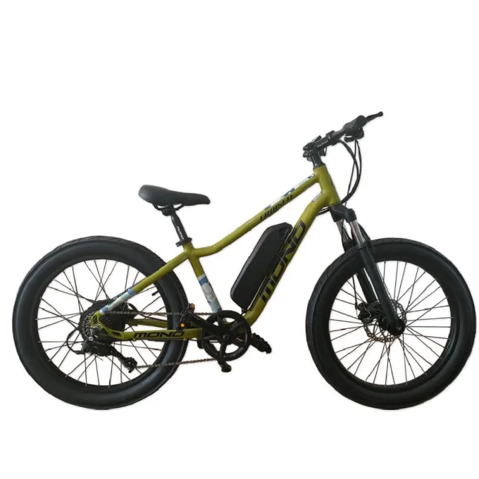 SUNMONO 24 ELECTRIC CRUISER BIKE JUNO