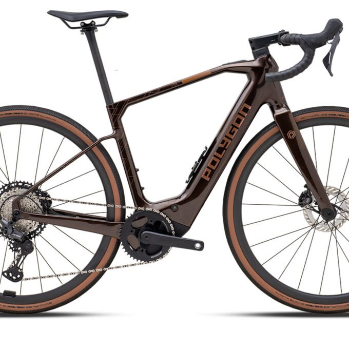 Polygon Tambora AE-N - Carbon Gravel eBike