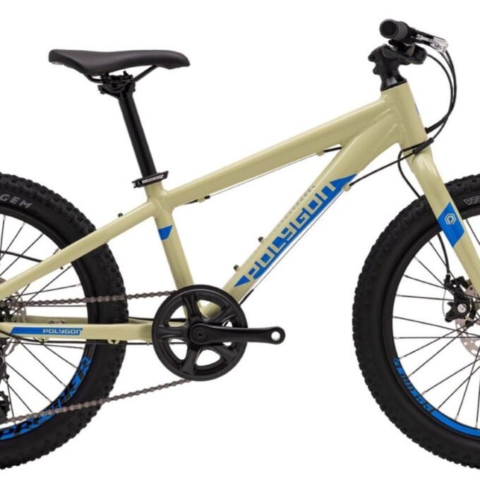 Ex Demo - Polygon Premier 20 Disc - Kids Mountain Bike C1
