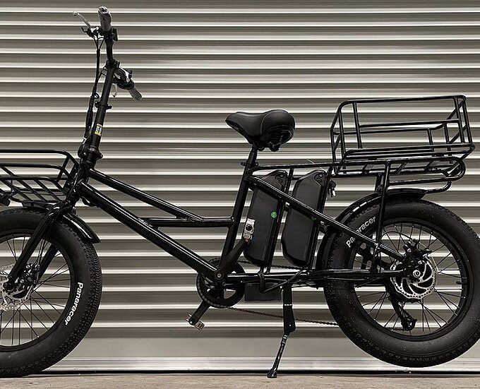 KST Cargo Bike Dual-battery Fat Tire 48v500w