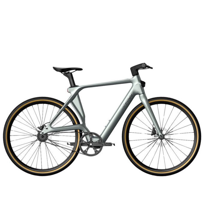 Fiido Air Carbon Fiber Bike (Fiido C31)