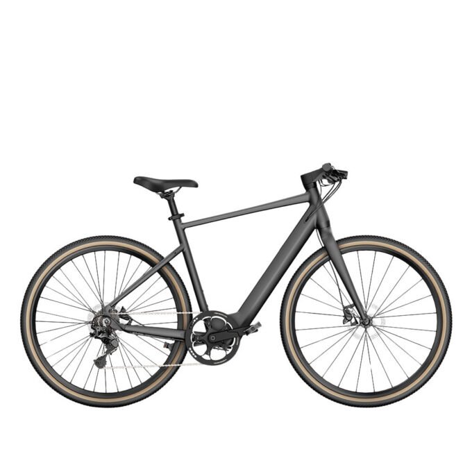 Fiido E-Gravel (C21) Step-Over Electric Bike