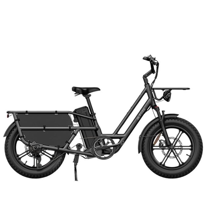 Fiido T2 Longtail Cargo eBike