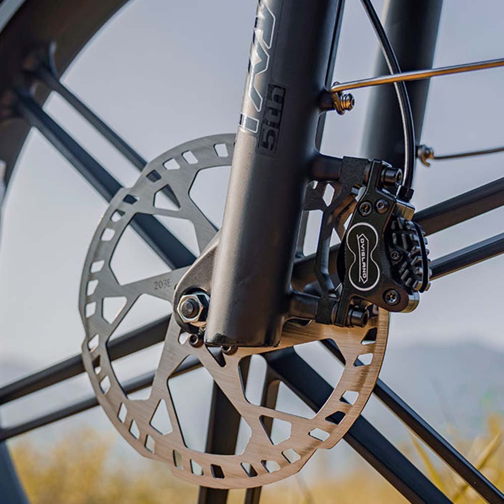 Fiido Titan Off-Road Electric Cargo Bike - Image 11