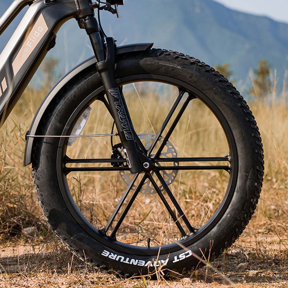 Fiido Titan Off-Road Electric Cargo Bike - Image 9