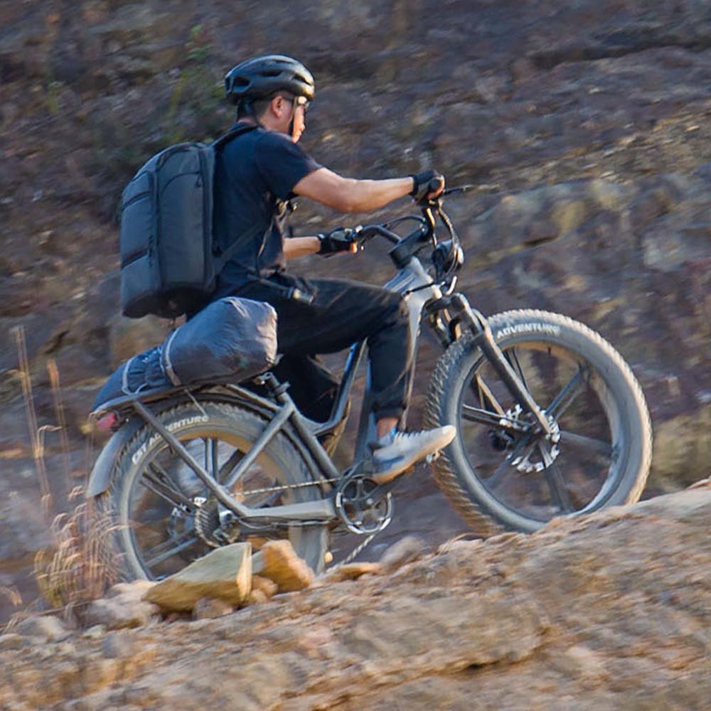 Fiido Titan Off-Road Electric Cargo Bike - Image 12