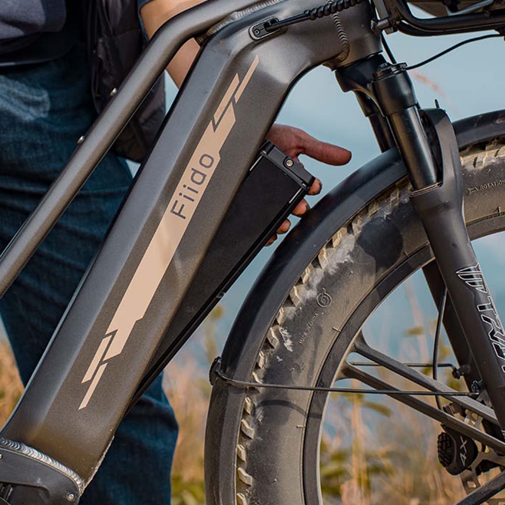 Fiido Titan Off-Road Electric Cargo Bike - Image 10