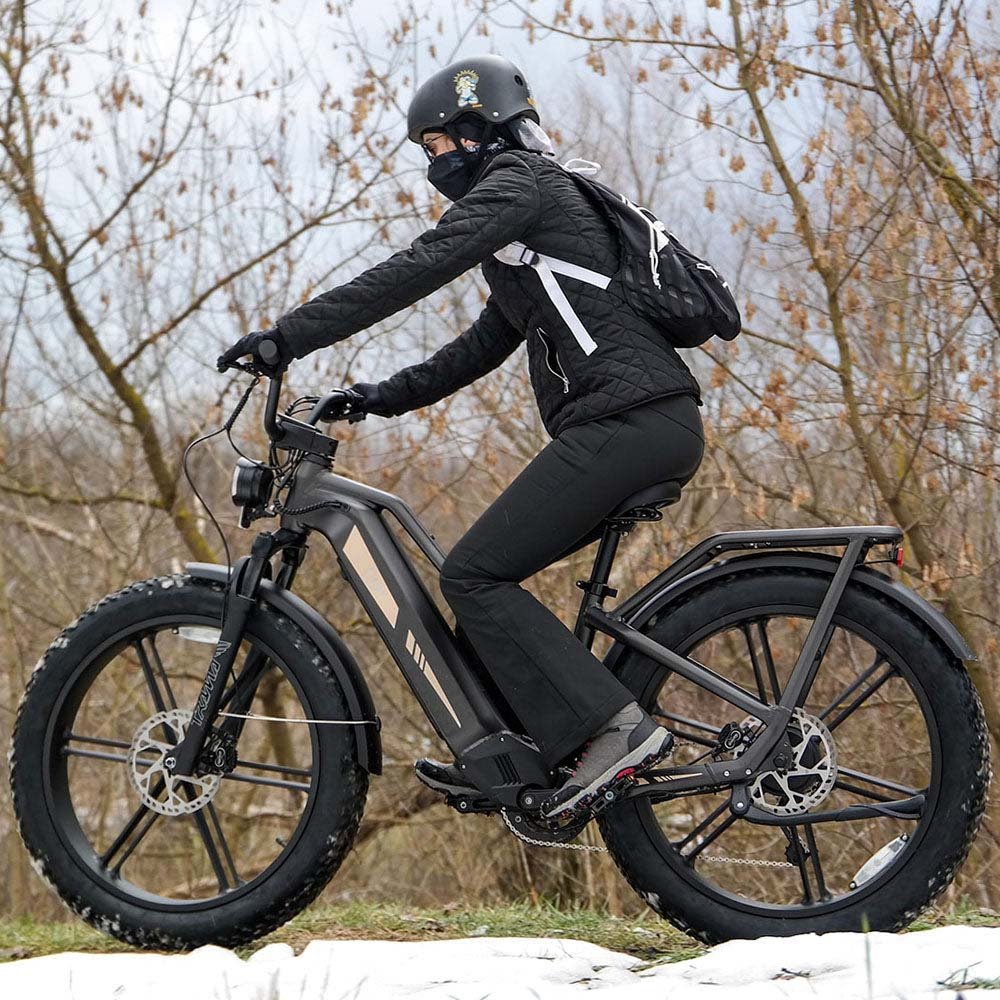 Fiido Titan Off-Road Electric Cargo Bike - Image 5