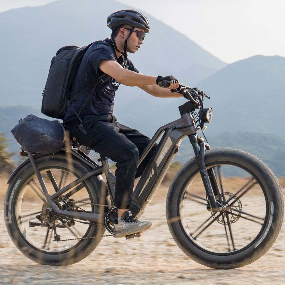 Fiido Titan Off-Road Electric Cargo Bike - Image 4