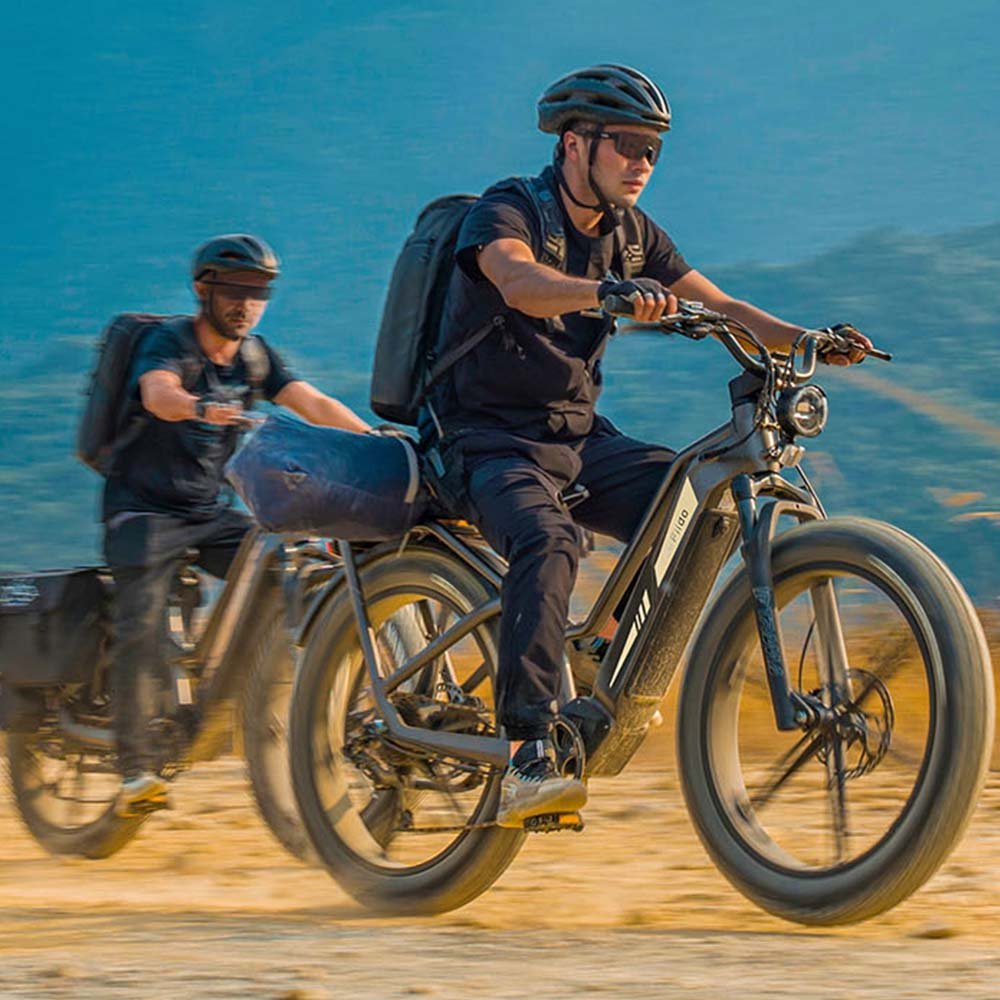 Fiido Titan Off-Road Electric Cargo Bike - Image 6