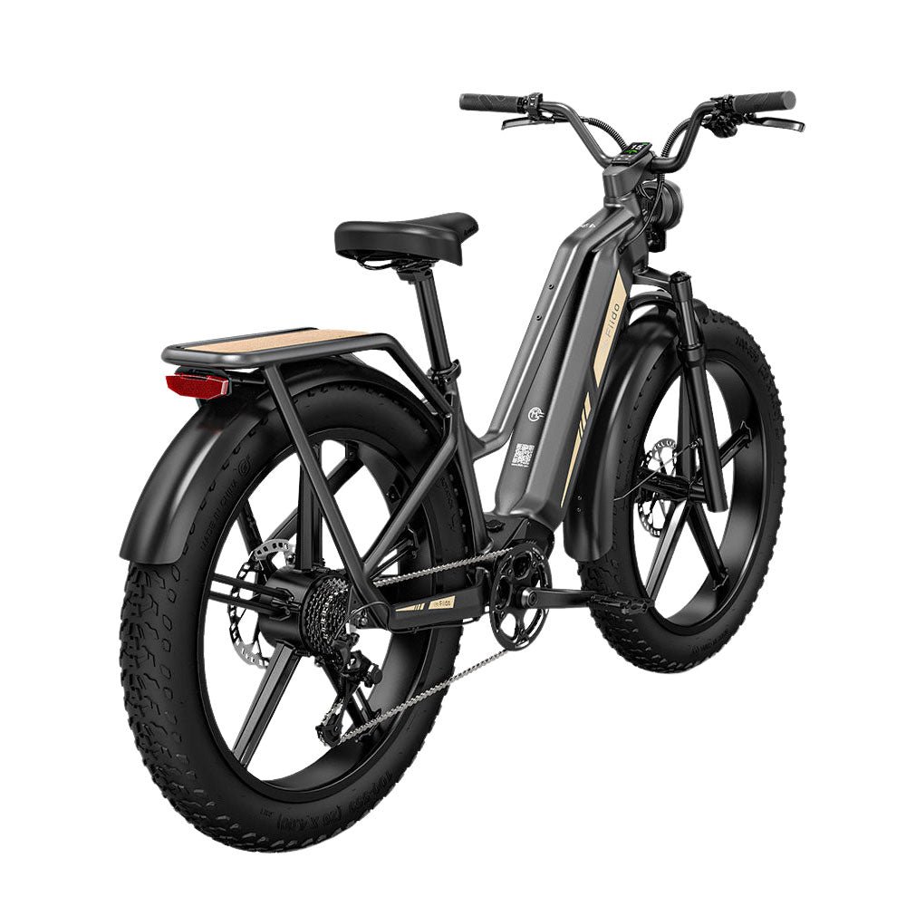 Fiido Titan Off-Road Electric Cargo Bike - Image 3