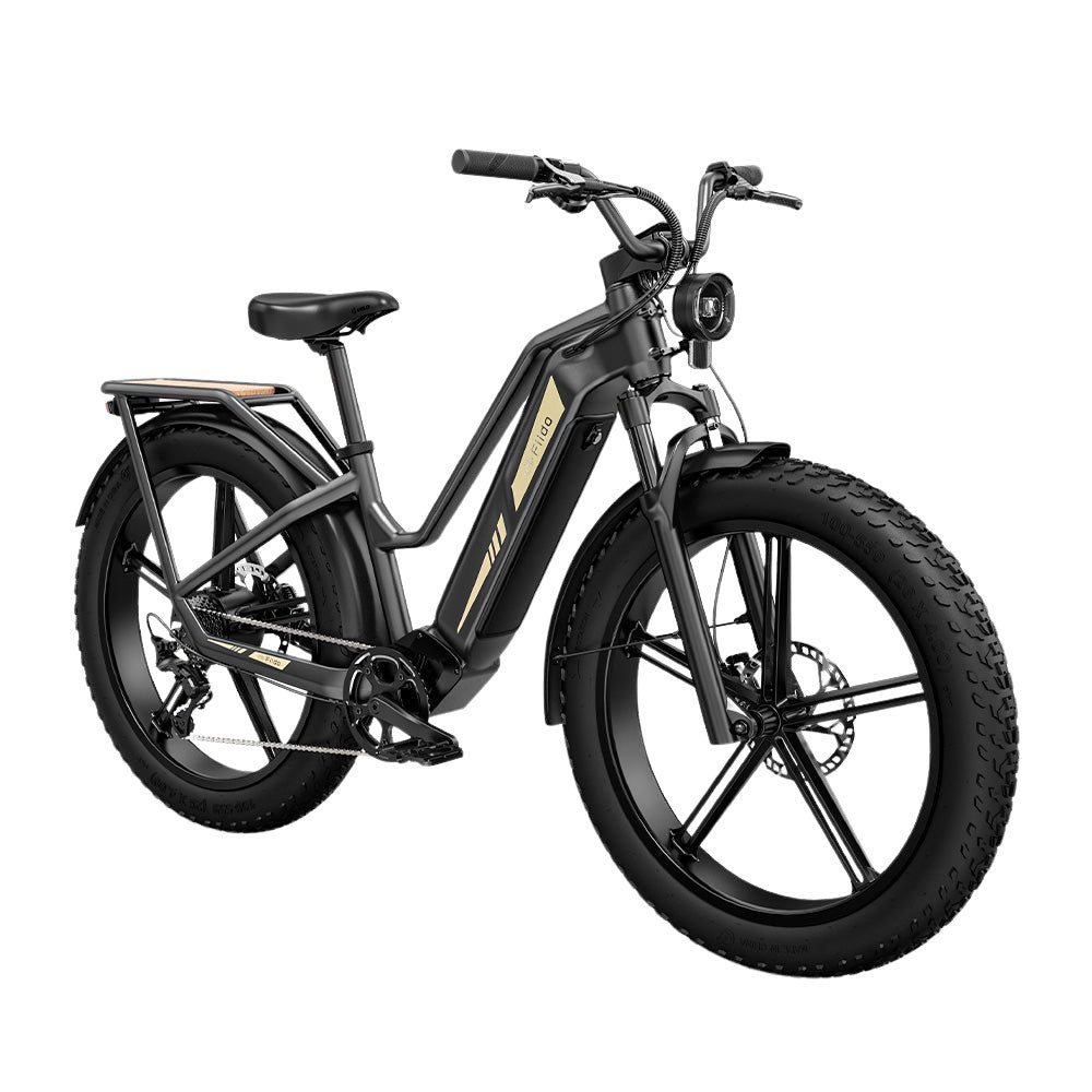 Fiido Titan Off-Road Electric Cargo Bike - Image 2