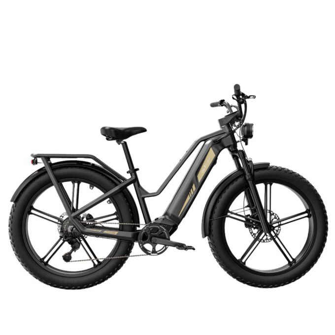 Fiido Titan Off-Road Electric Cargo Bike