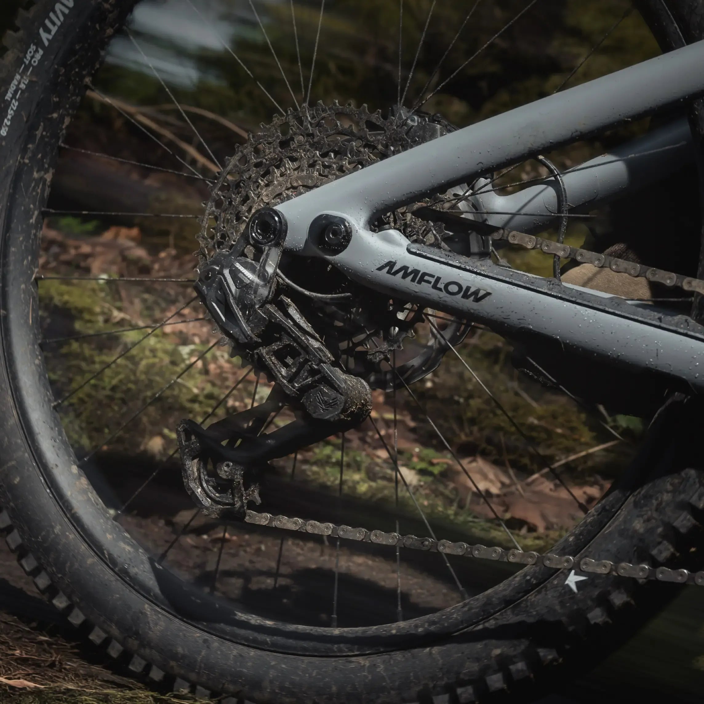 Amflow PR Carbon Pro - Image 4