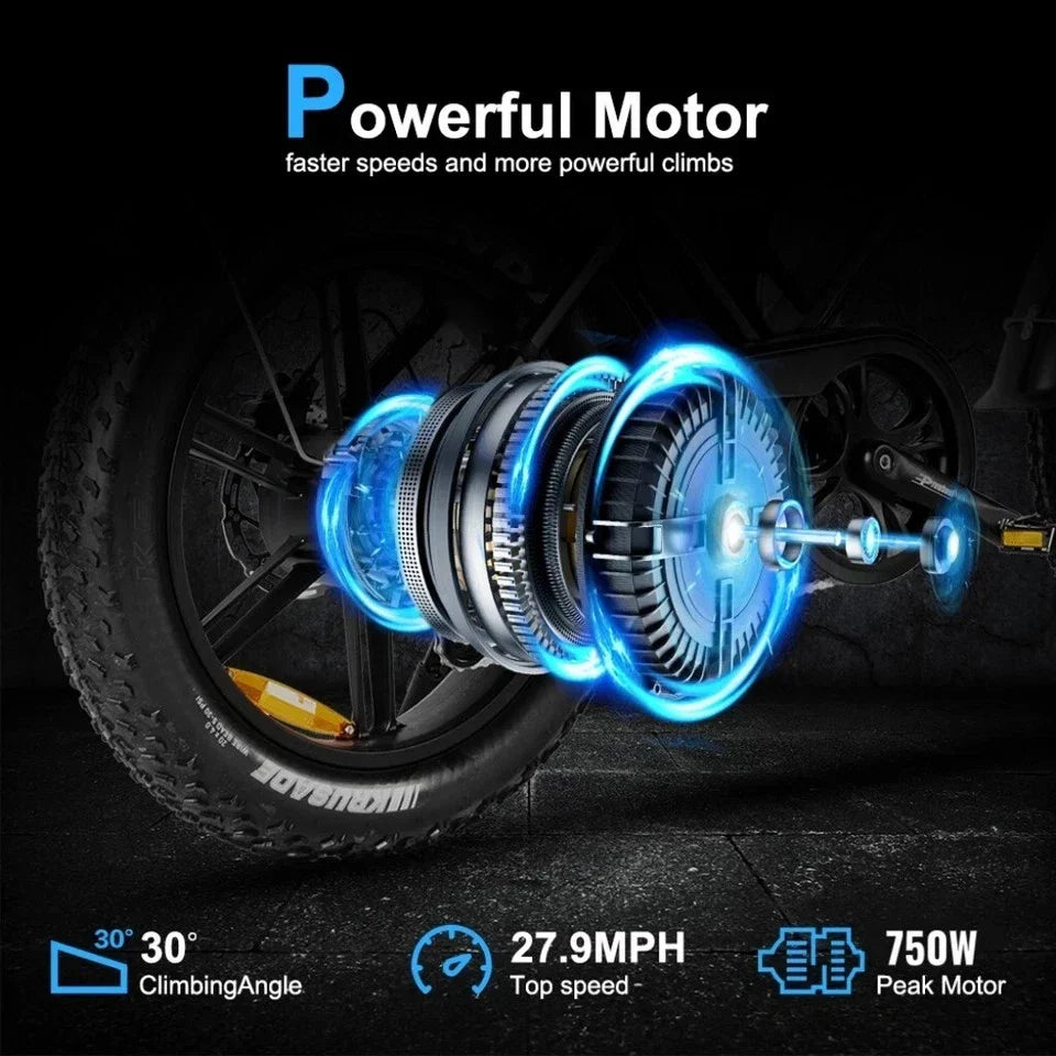 Lagads eBike 750W - Image 4