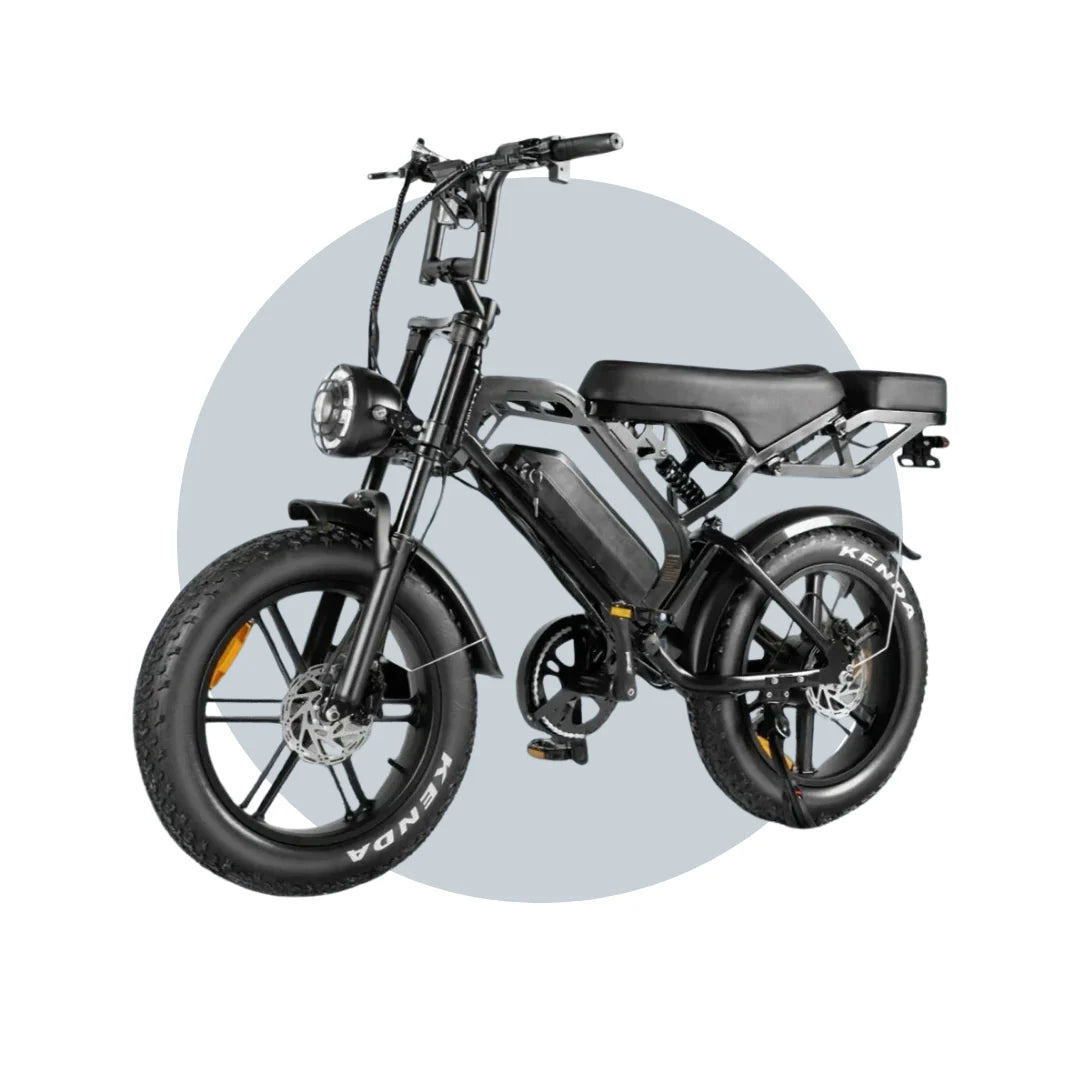 Lagads eBike 750W